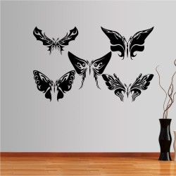 Εντυπωσιακές πεταλούδες, συλλογή